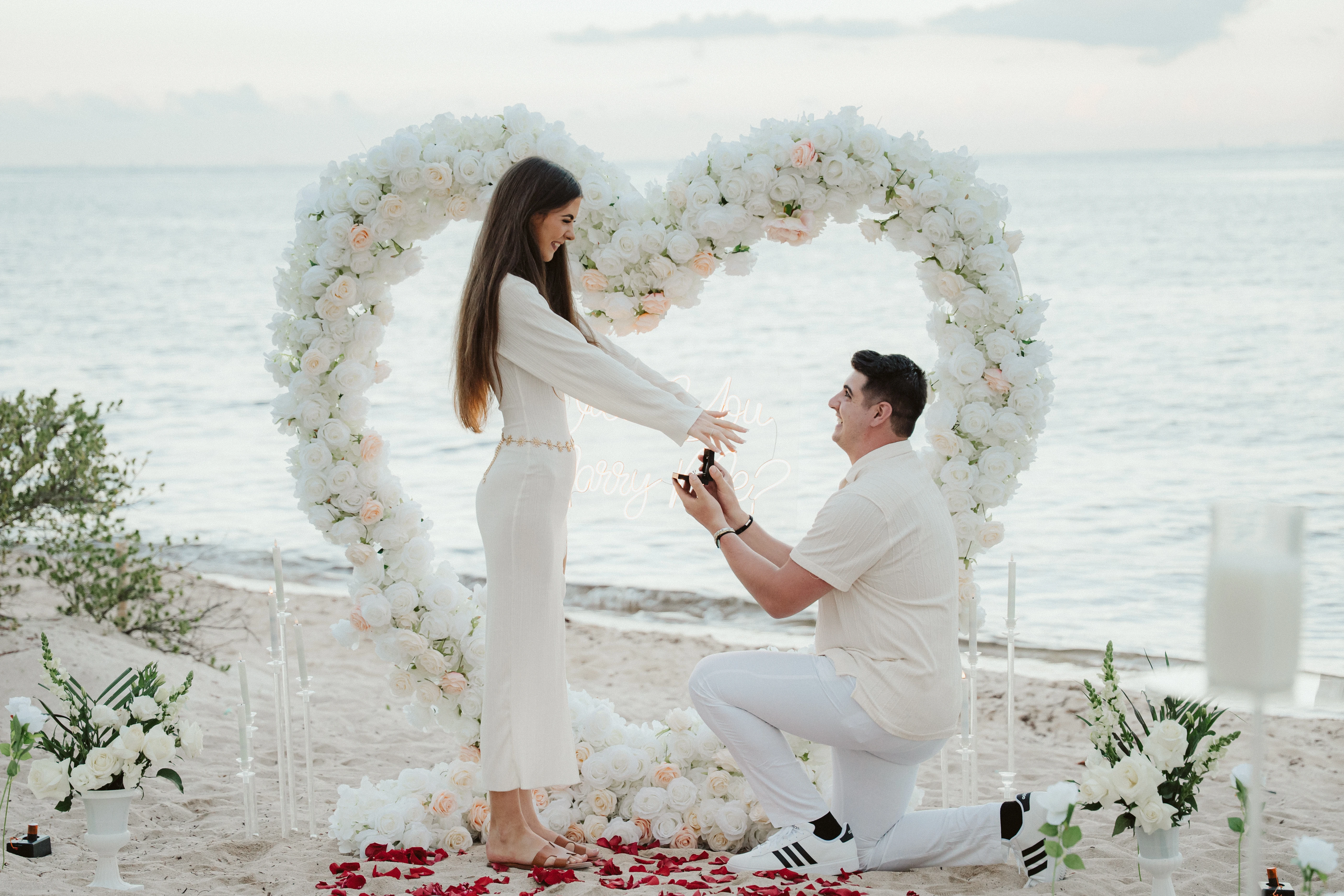 Proposal Hero Background